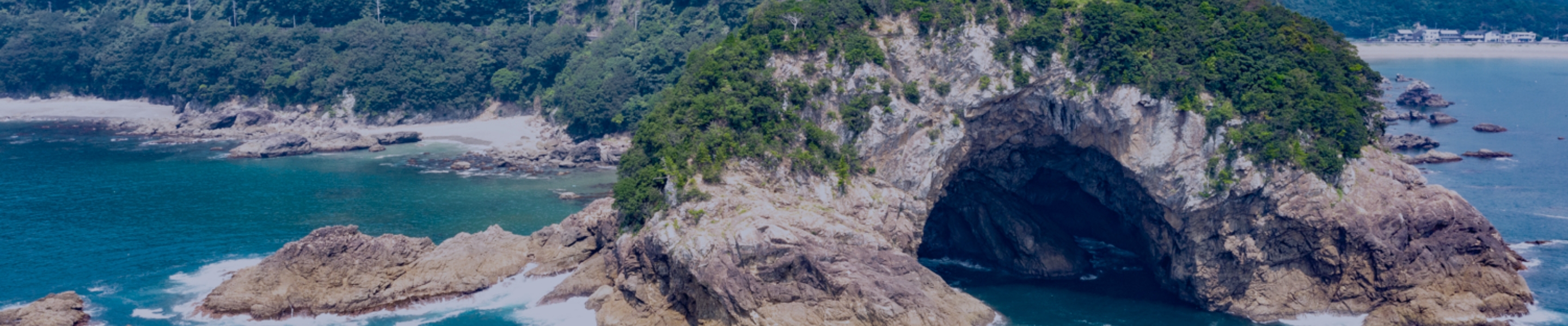 도쿠시마 아와 오도리 2026